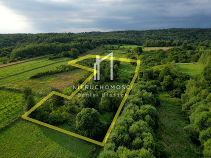 Działka rolna Warzyce gm. Jasło