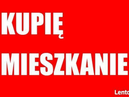 Współpraca !! zgłoszenie bez PROWIZJI!!