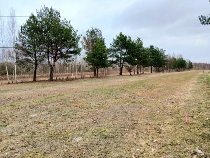 Działka Koryta ul. Lipowa