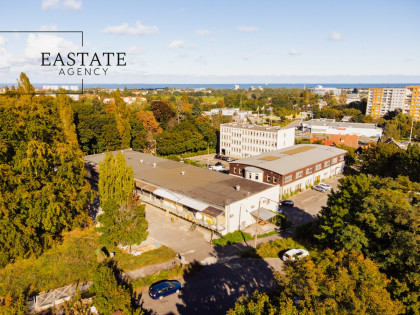 Lokal Sopot ul. Aleja Niepodległości