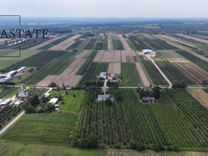 Działka Świdno ul.  