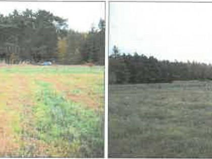 Działka, 4 999 m², Słonów