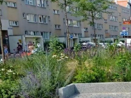 Wynajem mieszkanie trzy pokojowe