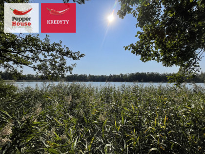 Działka Murucin ul.  