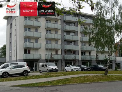 Lokal Gdańsk Ujeścisko ul. Płocka