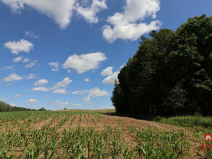 Działka inwestycyjna Rożyńsk Wielki gm. Prostki,