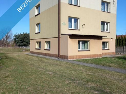 Dom z dużą działką