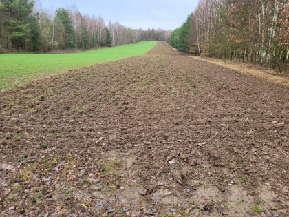 Działka rolna 4600 m2 Parczów