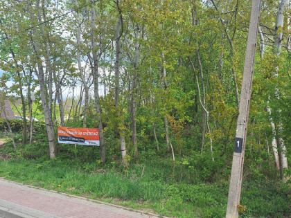 Nieruchomość - Wandzin