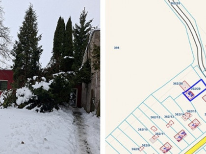 Działka łoza Łoza