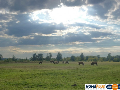 Działka 1,6 ha z domem, media, MPZP – Ruda.