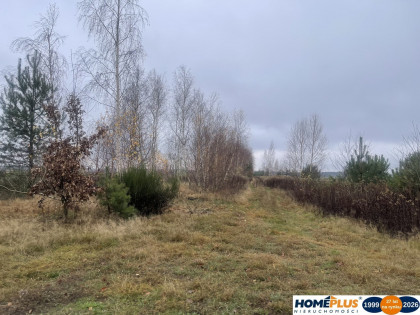 Działka 6443 m² z mediami przy asfaltowej drodze.