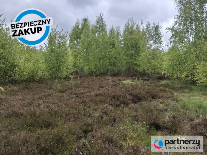 Działka Strzebielino ul. Zagrodowa