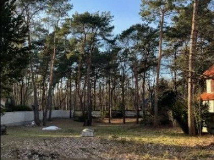 Piękna działka w Dąbrowie Leśnej z pozwoleniem