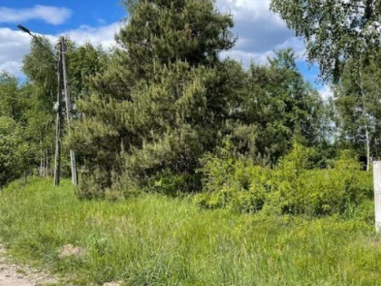 Na sprzedaż działka w Radzyminie – 2000 m²