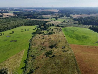 Syndyk VI GUp 530/21 sprzeda udział w nieruchomość Gęś