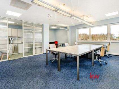 Lokal użytkowy Poznań gm. Poznań-Jeżyce Jeżyce, Polska