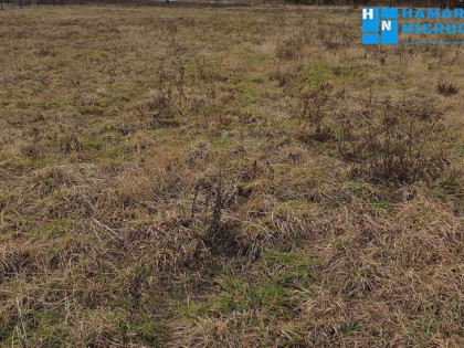 Działka obok Kampinoskiego Parku Narodowego 1003m2