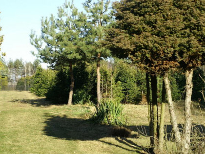 Działka budowlana 36a Jawidz 20km od Lublina