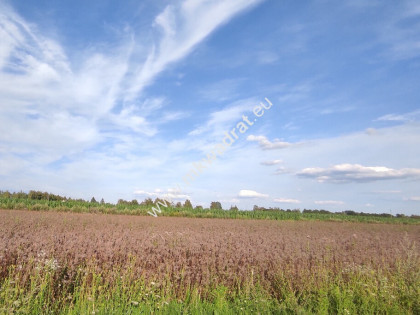 Idealna pod inwestycję 10 km A2-S8 Super!
