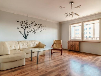 2 pokoje przyjazne dla zwierząt, Głowackiego 8