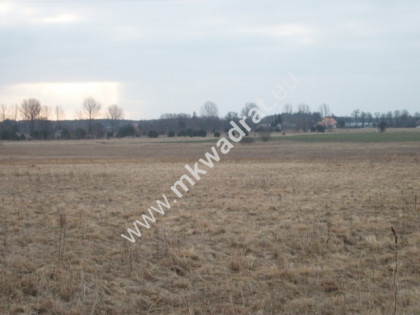 Działka siedliskowa Ojrzanów