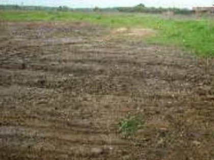 Działka budowlana Warszawa Wawer, Borków