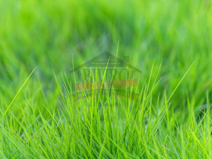 KRASIEJÓW/Działka budowlana 31,70 a!