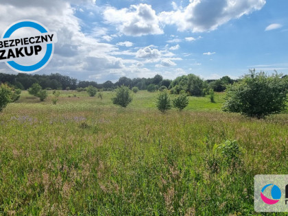 Działka Salinko ul. Akwamarynowa