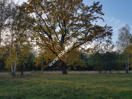 ⭐⭐⭐⭐⭐ Urokliwa Działka Makówka 1600m ⭐⭐⭐⭐⭐