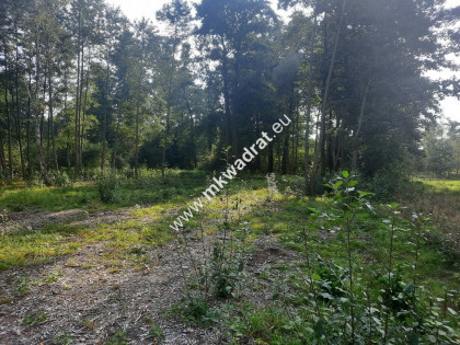 Działka blisko WKD, ładna leśna okolica Kady