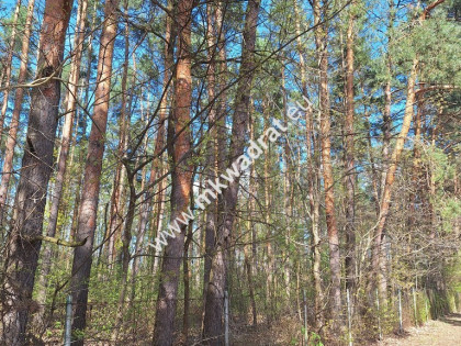 Przepiękna działka Nadarzyn Strzeniówka z MPZP Strzeniówka