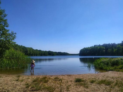Bożepole Królewskie Dom nad jeziorem taras, las