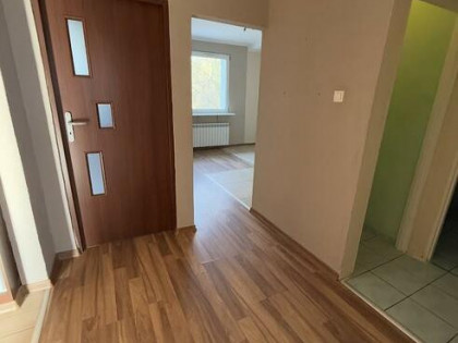 Mieszkanie Oleśnica gm. Chodzież