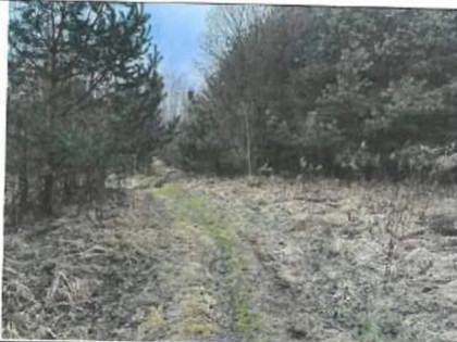 Nieruchomość - Srocko