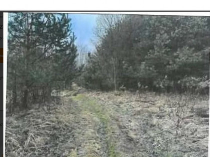 Nieruchomość - Srocko