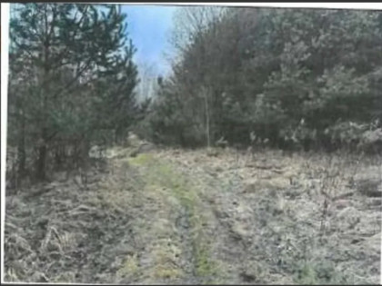 Nieruchomość - Srocko