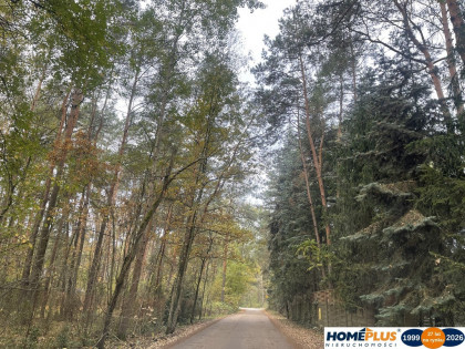 Zbuduj dom w lesie – działka 1850 m².