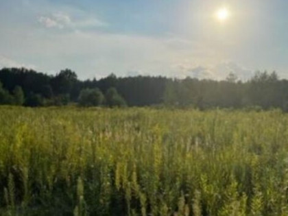 Działka budowlana blisko lasu, idealna inwestycja.