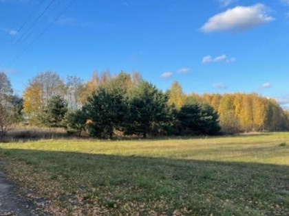 Działka z zabudową jednorodzinną, linia 110 kV