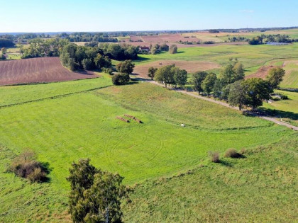 Działka Kożuchy Wielkie