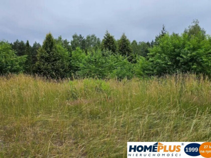 Działka budowlana 4827 m², dogodna lokalizacja