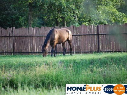 Działka ze stawem w spokojnej okolicy, 4995 m²