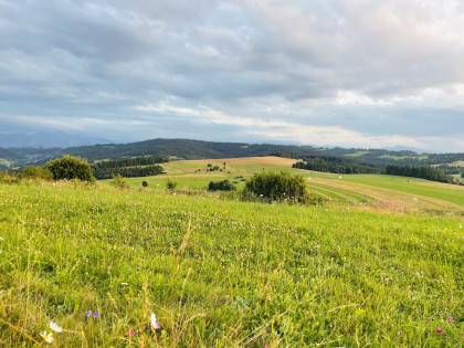 Działka rolna- Łapsze Wyżne- Nowy Targ- Podhale