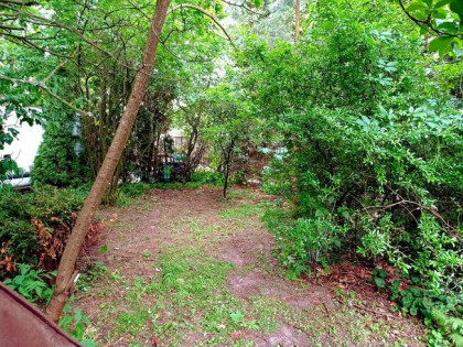 DWA DOMY POD LASEM CAŁOROCZNE DWIE DZIAŁKI OKAZJA