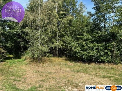 Duża, cicha działka w otulinie lasu - BEZ PROWIZJI