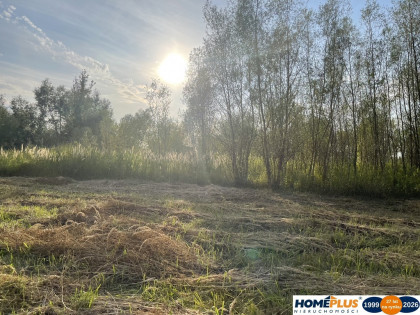Działka 2,5 ha Dąbrówka, blisko S8, media, MPZP
