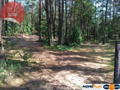 Działka w lesie 2064 m² - letniskowa i całoroczna
