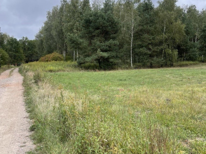 Działka inwestycyjna 7000 m² Sieraków k. Radzymina