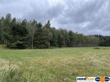 Działka bud. 4113 m² w Sierakowie koło Radzymina.